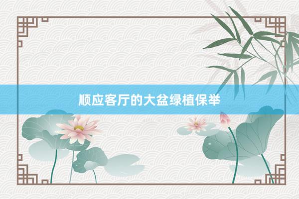 顺应客厅的大盆绿植保举