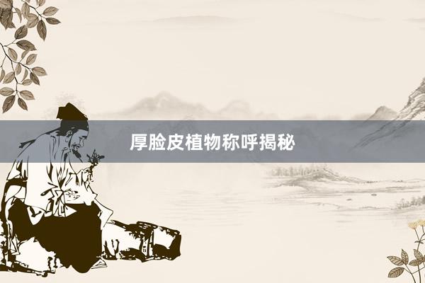 厚脸皮植物称呼揭秘